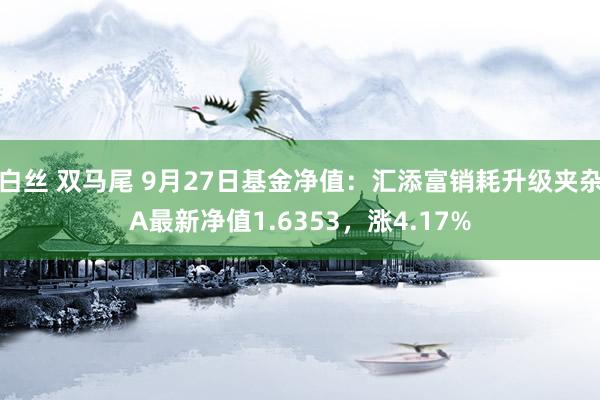 白丝 双马尾 9月27日基金净值：汇添富销耗升级夹杂A最新净值1.6353，涨4.17%