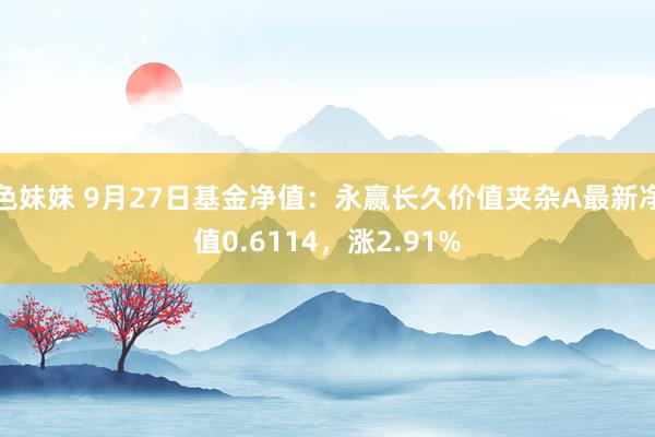色妹妹 9月27日基金净值：永赢长久价值夹杂A最新净值0.6114，涨2.91%