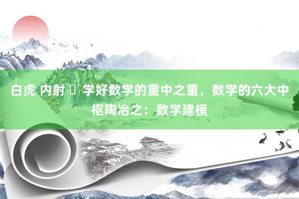 白虎 内射 ​学好数学的重中之重，数学的六大中枢陶冶之：数学建模