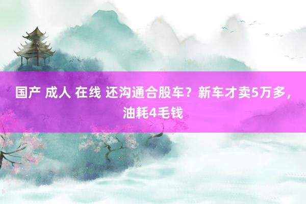 国产 成人 在线 还沟通合股车？新车才卖5万多，油耗4毛钱