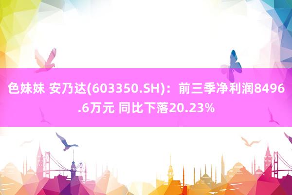 色妹妹 安乃达(603350.SH)：前三季净利润8496.6万元 同比下落20.23%
