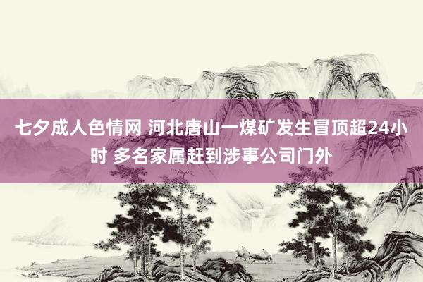 七夕成人色情网 ﻿河北唐山一煤矿发生冒顶超24小时 多名家属赶到涉事公司门外