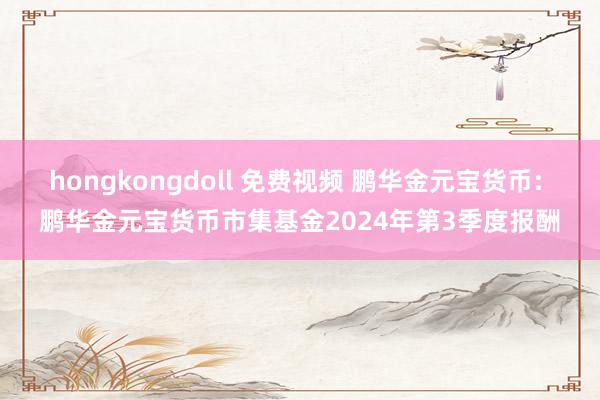hongkongdoll 免费视频 鹏华金元宝货币: 鹏华金元宝货币市集基金2024年第3季度报酬