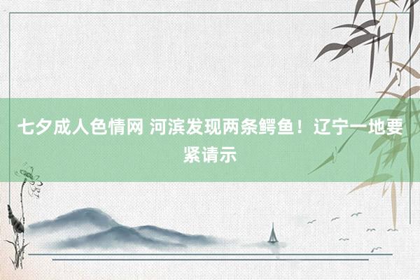 七夕成人色情网 河滨发现两条鳄鱼！辽宁一地要紧请示