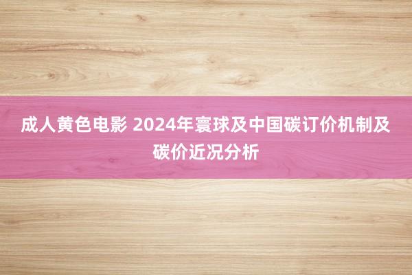 成人黄色电影 2024年寰球及中国碳订价机制及碳价近况分析