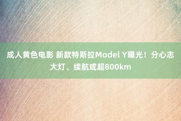 成人黄色电影 新款特斯拉Model Y曝光！分心志大灯、续航或超800km