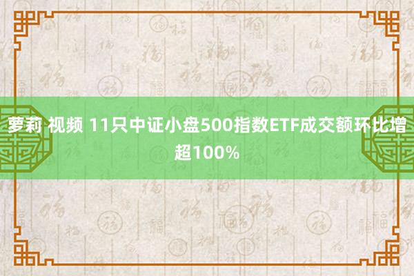 萝莉 视频 11只中证小盘500指数ETF成交额环比增超100%