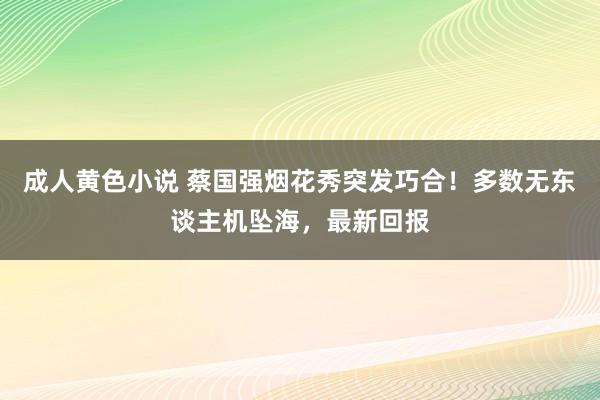 成人黄色小说 蔡国强烟花秀突发巧合！多数无东谈主机坠海，最新回报