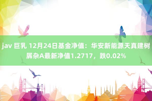 jav 巨乳 12月24日基金净值：华安新能源天真建树羼杂A最新净值1.2717，跌0.02%