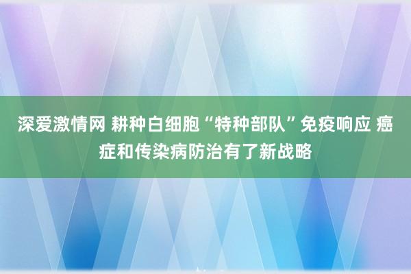 深爱激情网 耕种白细胞“特种部队”免疫响应 癌症和传染病防治有了新战略