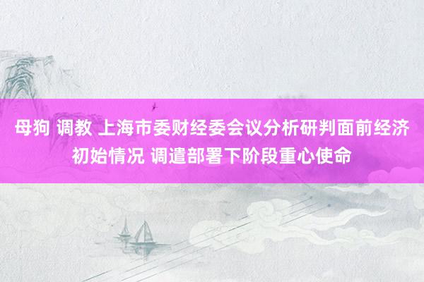 母狗 调教 上海市委财经委会议分析研判面前经济初始情况 调遣部署下阶段重心使命